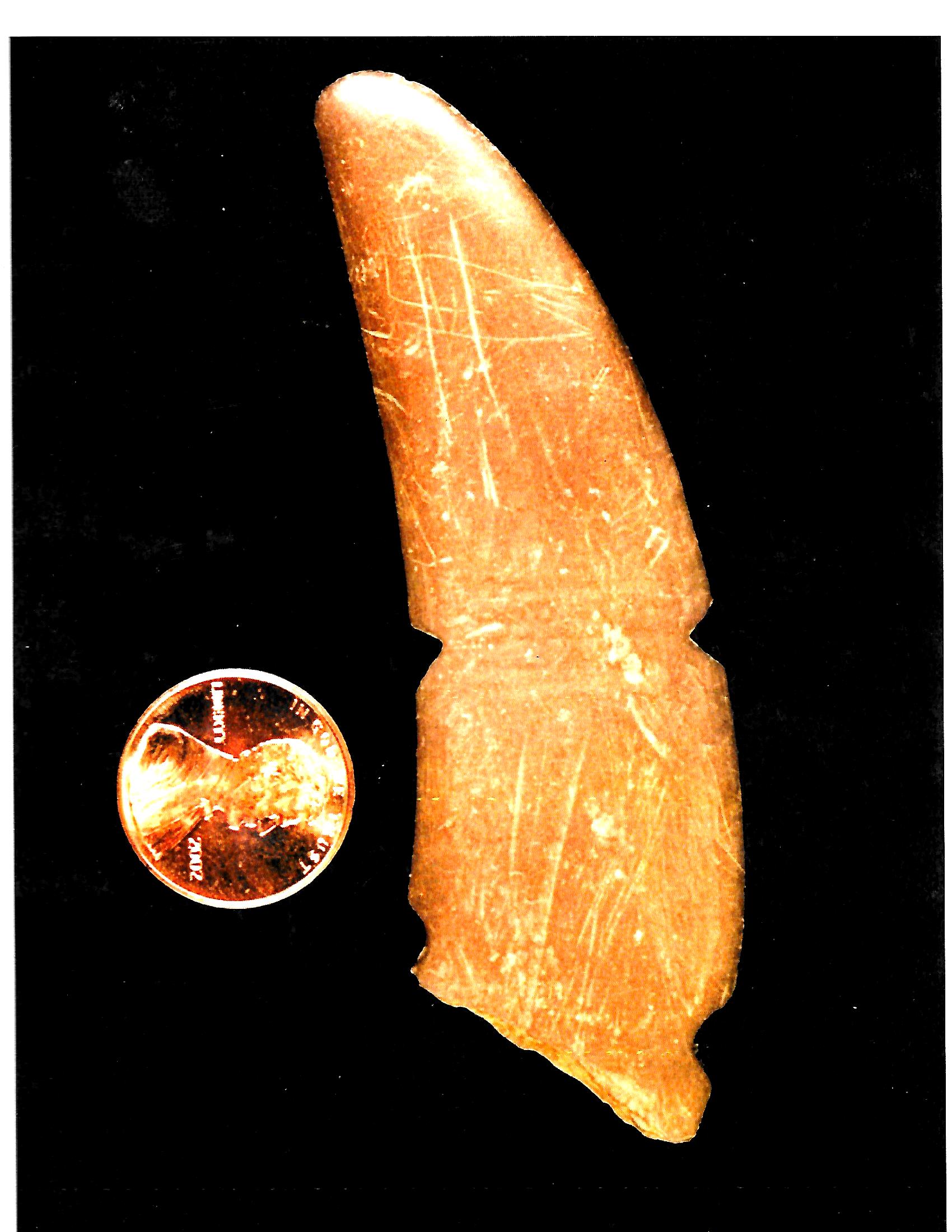 Massachusett Tribal Life The Massachusett Tribe at Ponkapoag